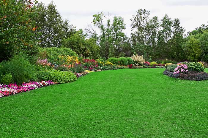 Landscape & Hardscape Contractor In La Cienga Heights