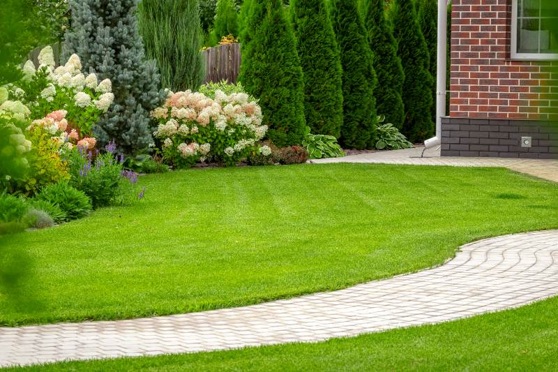 Landscape & Hardscape Contractor In Bel air
